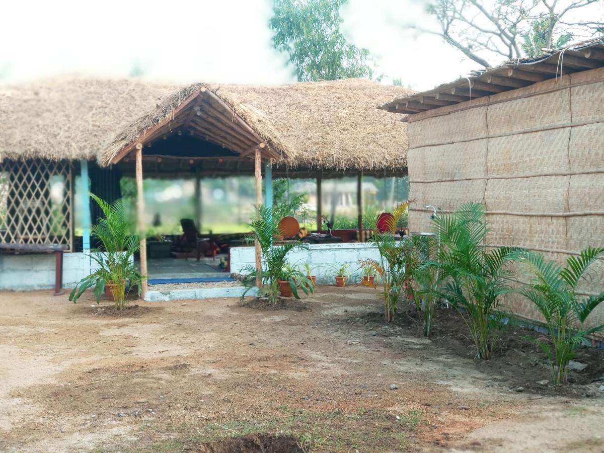 Hampi Nature Cottage Ngoại thất bức ảnh