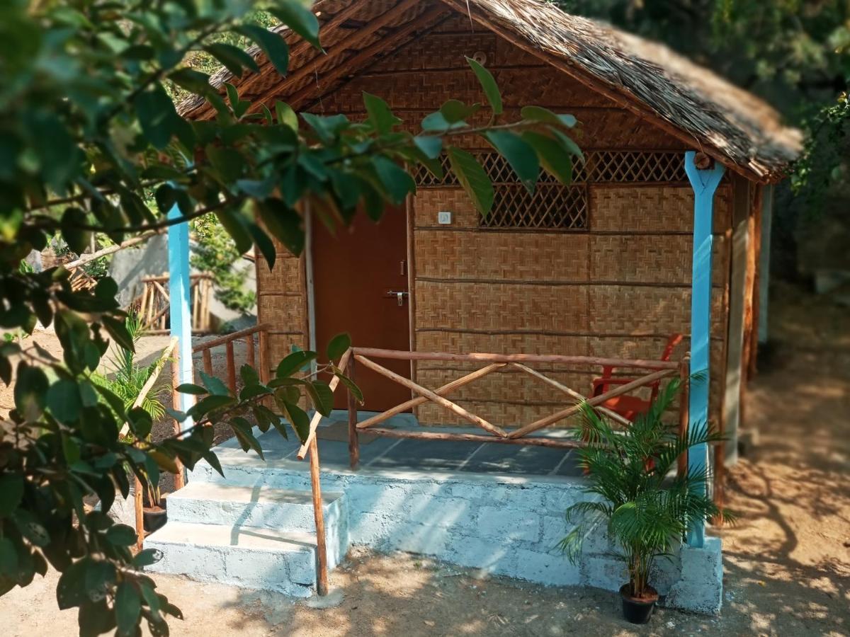 Hampi Nature Cottage Ngoại thất bức ảnh