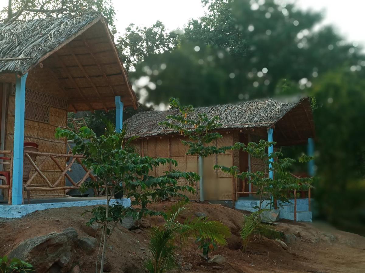 Hampi Nature Cottage Ngoại thất bức ảnh