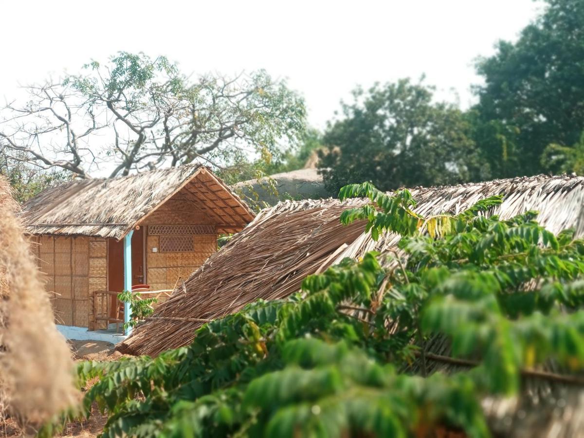 Hampi Nature Cottage Ngoại thất bức ảnh